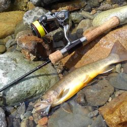 土砂降りの雨に逃げ帰る ～九頭竜川水系～